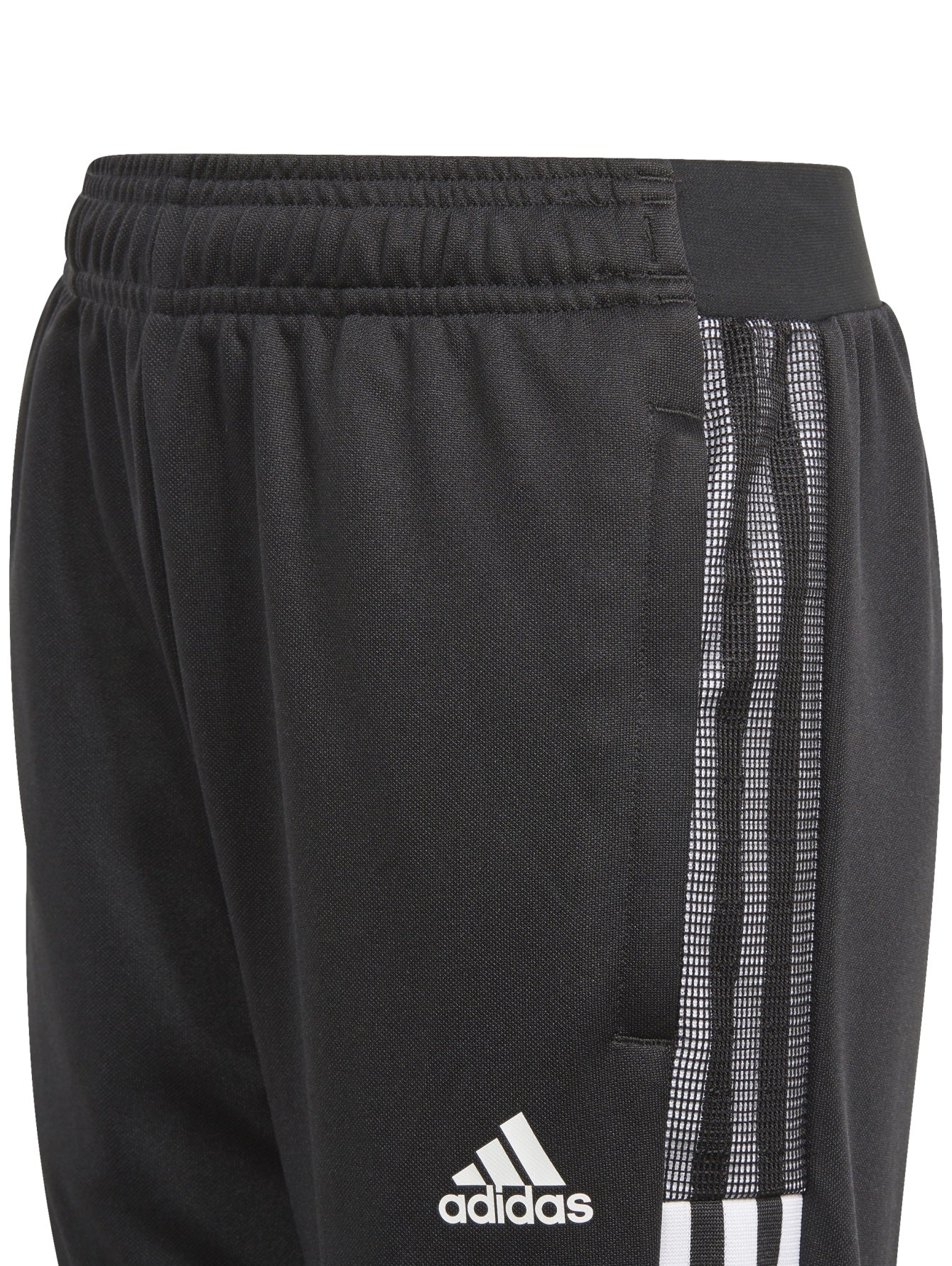 Adidas Tiro21 Tr Pnt Y Gq1242 Para Hombre