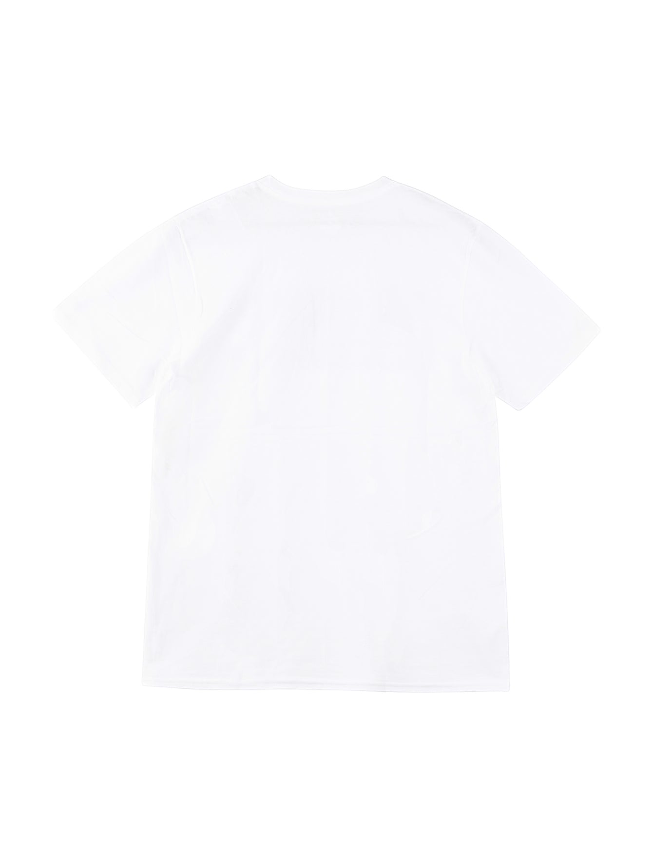 Playera Champion Classic Graphic Para Hombre