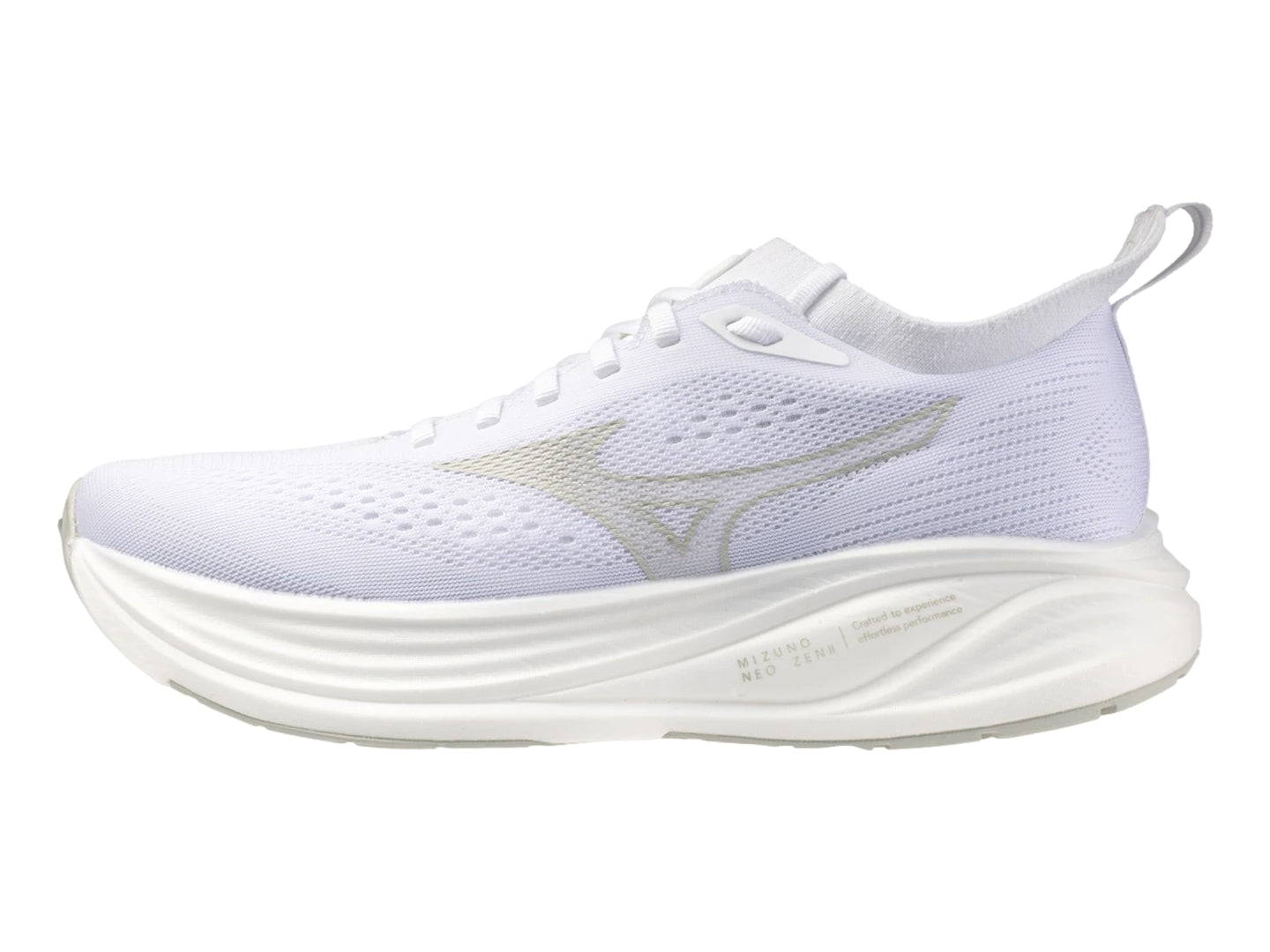 Tenis Mizuno 411595 Para Hombre