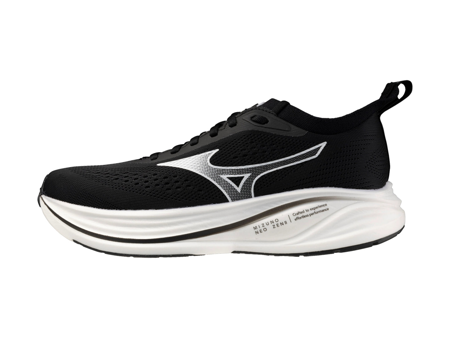 Tenis Mizuno 411559 Para Hombre