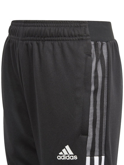 Adidas Tiro21 Tr Pnt Y Gq1242 Para Hombre