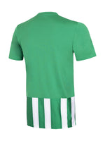 Playera Adidas Striped 21 JSY Verde y Blanco para Hombre