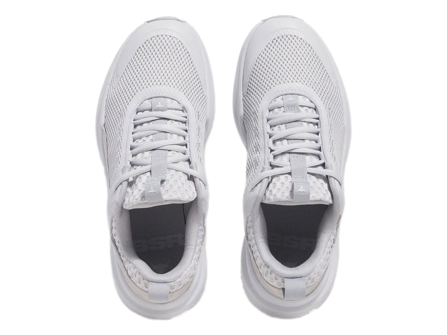Tenis Under Armour Project Rock Bsr 5 Gri Para Hombre