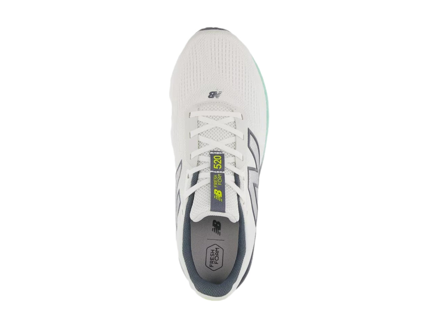 Tenis New Balance 520 Gris para Hombre